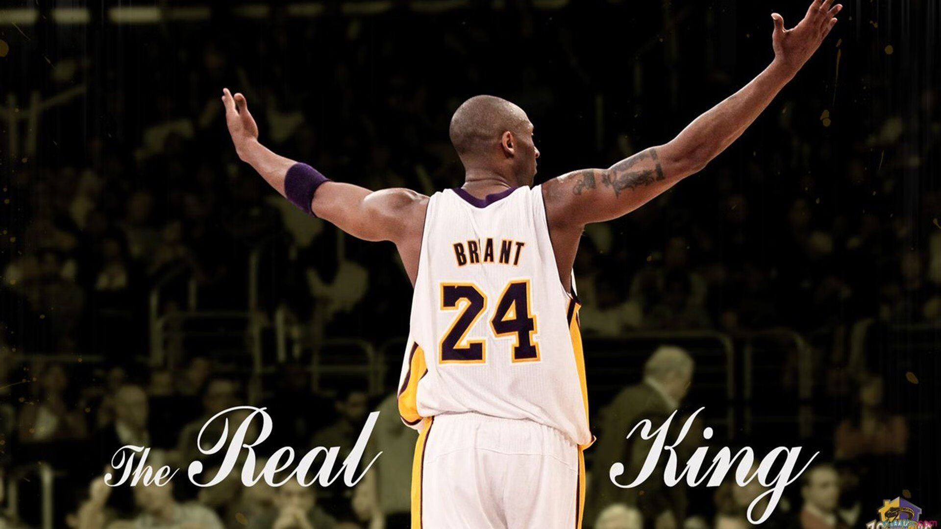 世界杯球迷装扮大赏：奇装异服抢镜转播画面